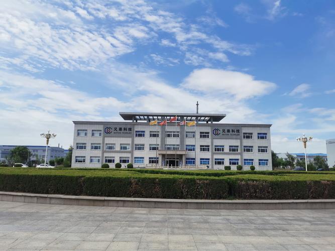 山东兄弟科技股份
