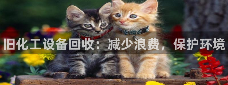 新航娱乐的创始人简介资料