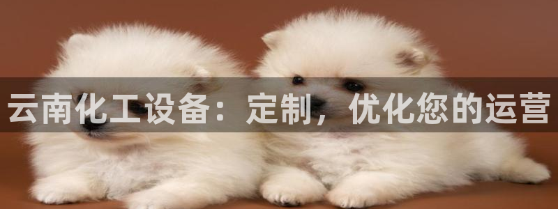 新航娱乐的最新版本更新内容