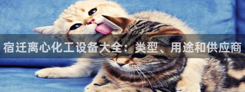 新航娱乐有限公司最新活动信息