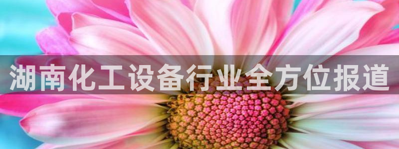 新航娱乐旗下艺人列表
