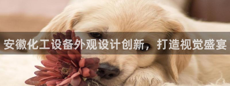 新航娱乐扣款后还能重新扣