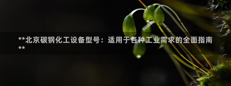 新航娱乐公司扣费流程详解表