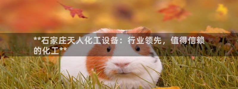 新航娱乐有限公司最新活动信息
