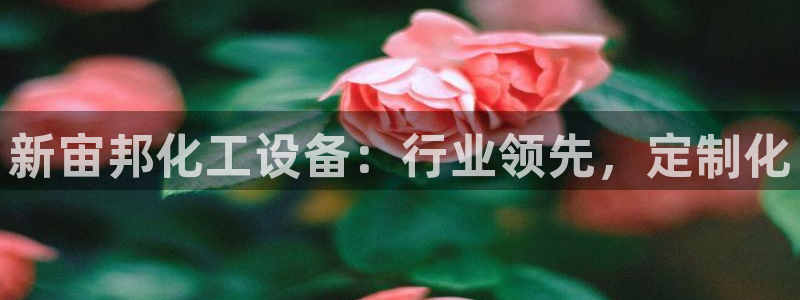 新航娱乐公司扣费流程详解表格