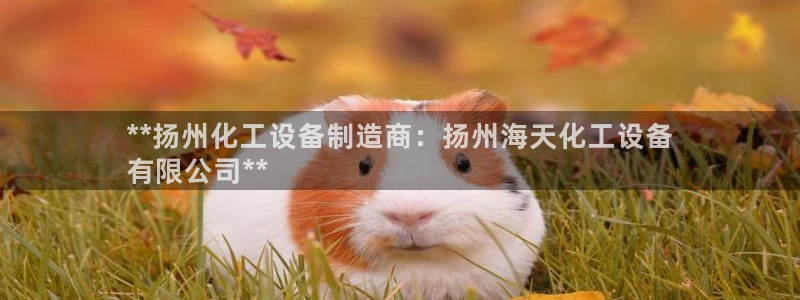 新航娱乐平台用户评价及反馈