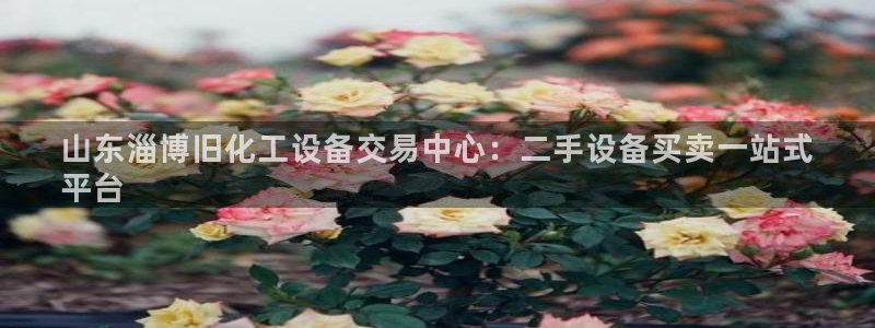 新航娱乐入网要求