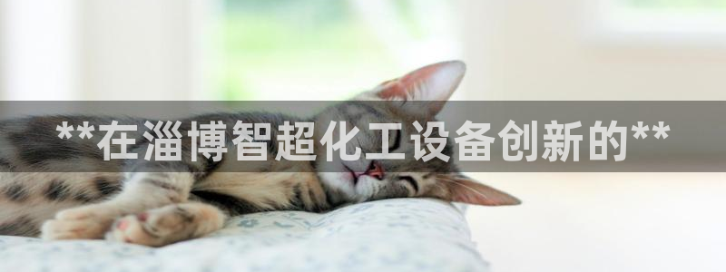 新航娱乐公司简介和历史背景怎么写