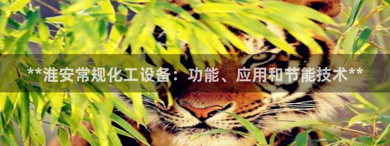 新航娱乐的背景和历史背景