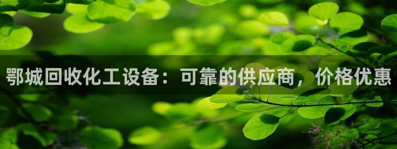 新航娱乐APP的最新版本更新内容