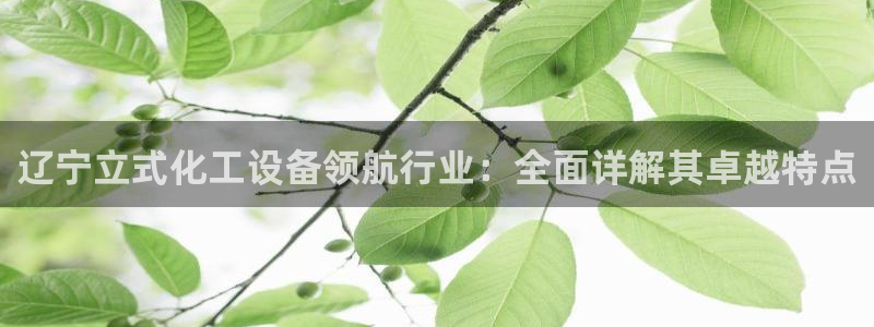 新航娱乐的最新版本更新内容