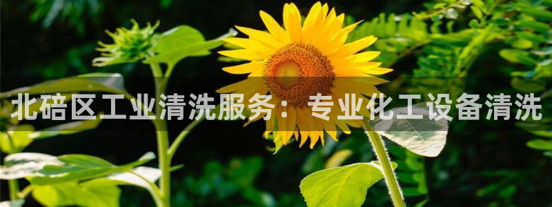 新航娱乐的创始人背景
