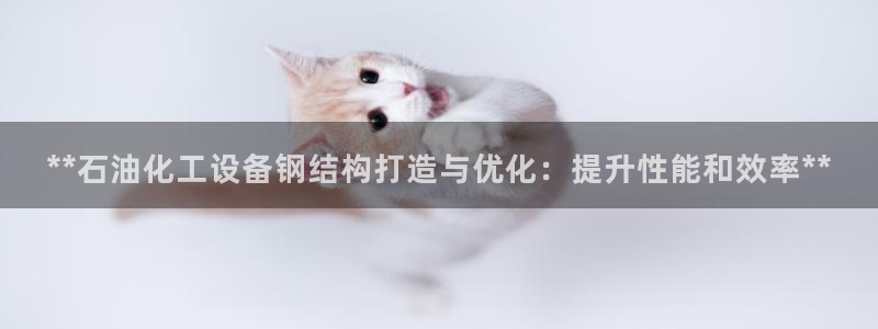 新航娱乐属于什么级别