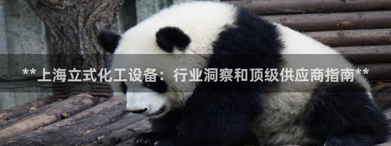 新航娱乐的会员权益与保障