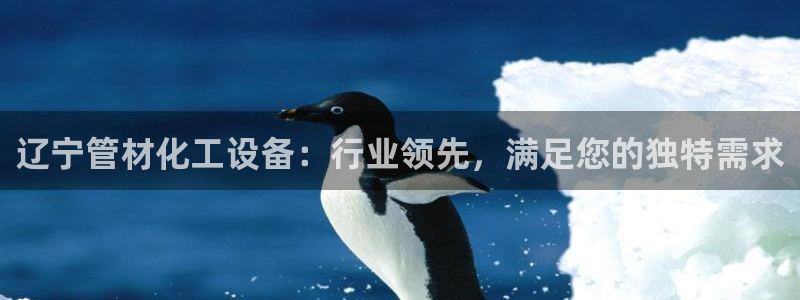 新航娱乐公司扣费流程详解表最新