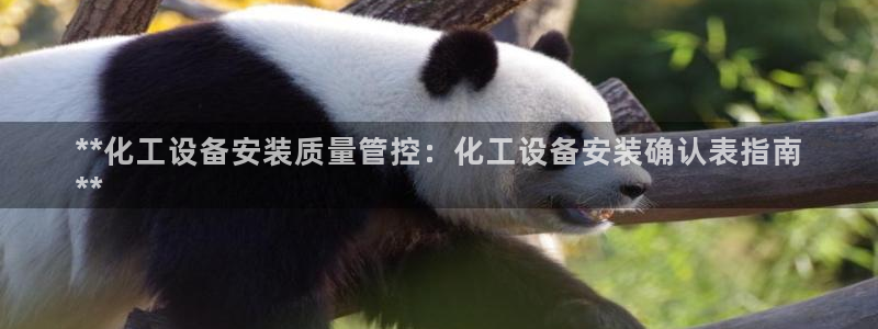 新航娱乐平台用户评价及反馈