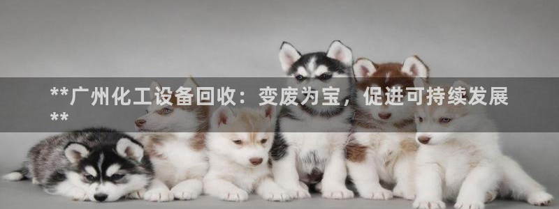 新航娱乐扣款了客服能追回吗