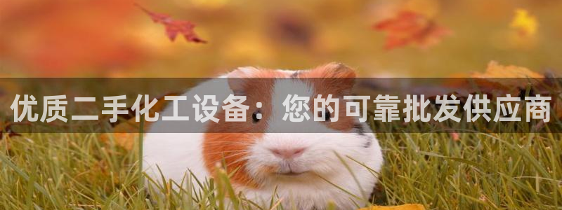新航娱乐雀7IIII2联他是
