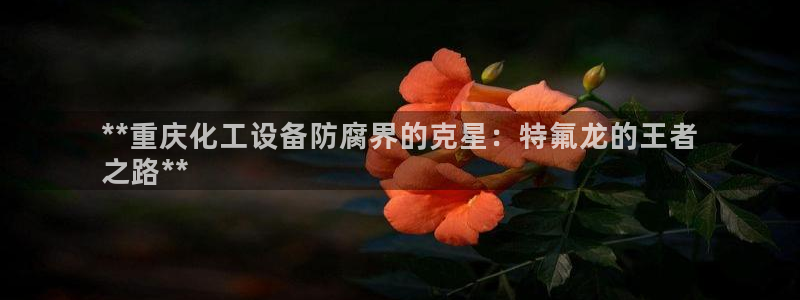新航娱乐公司简介和历史背景分析