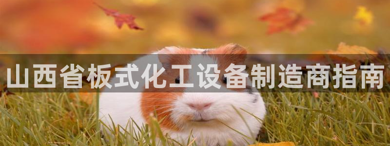 新航娱乐的创始人是谁啊