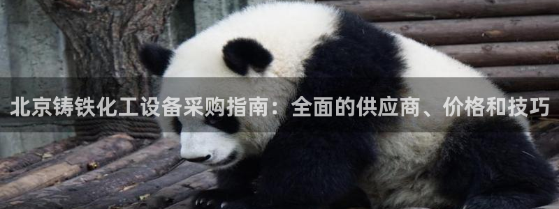 新航娱乐公司简介和历史背景介绍