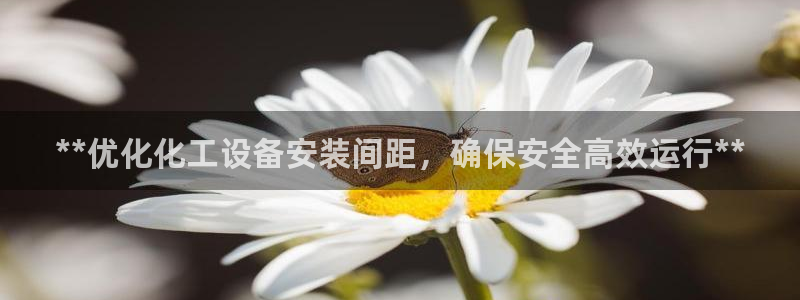 新航娱乐的创始人背景
