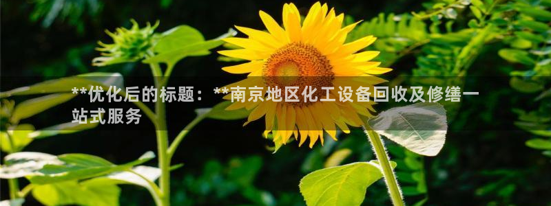 新航娱乐倒闭了吗知乎文章