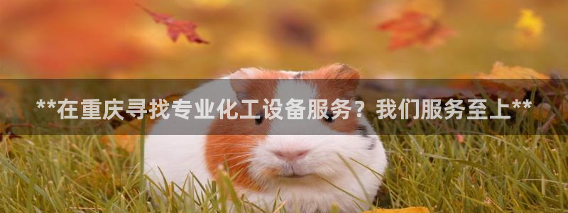 新航娱乐扣款921.8元是怎么回事