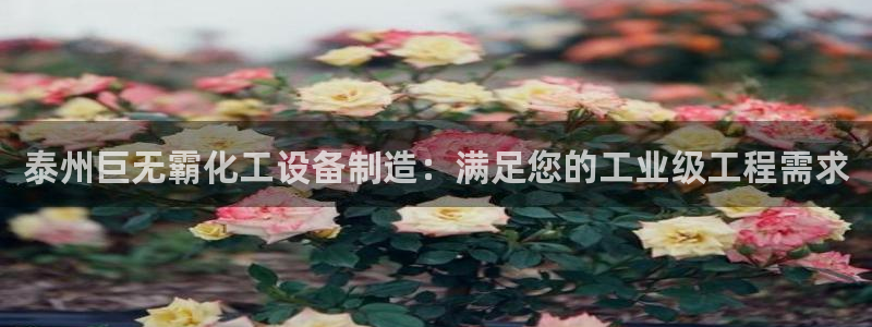 新航娱乐的会员权益与保障在哪