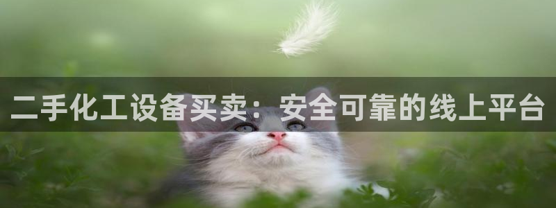 新航娱乐app官方免费下载苹果