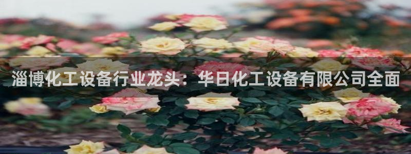 新航娱乐扣款后还能重新扣