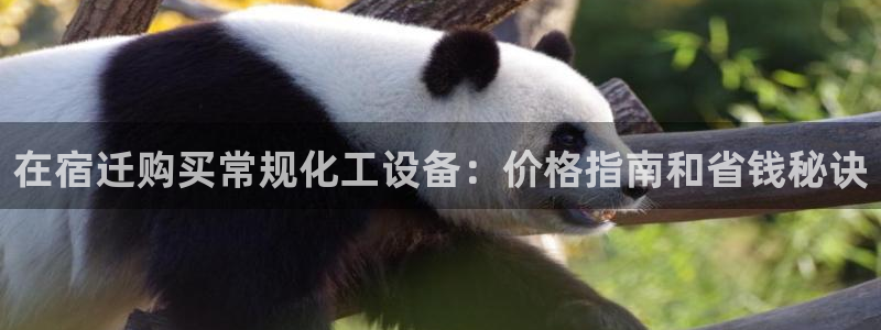 新航娱乐app的最新版本更新内容