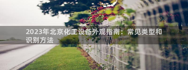 新航娱乐公司扣费流程详解视频下载