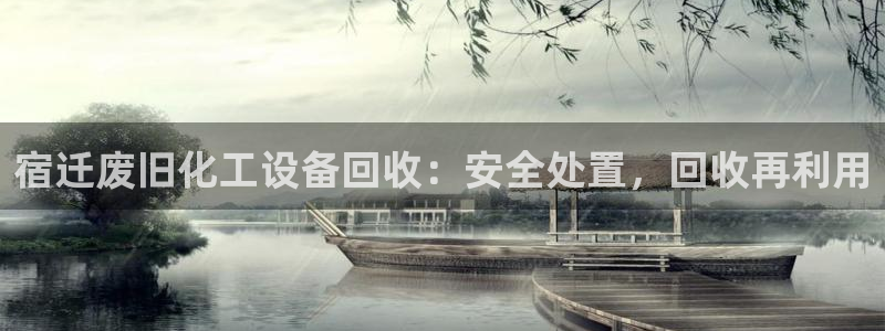 新航娱乐公司简介和历史背景怎么写