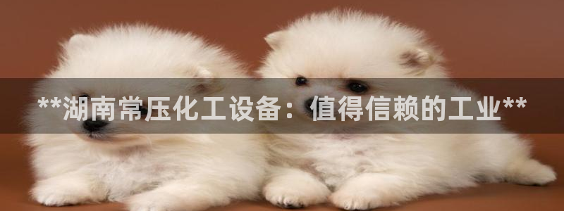 新航娱乐皮皮虾