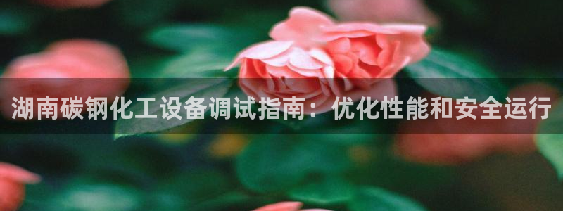 新航娱乐的会员权益与保障在哪