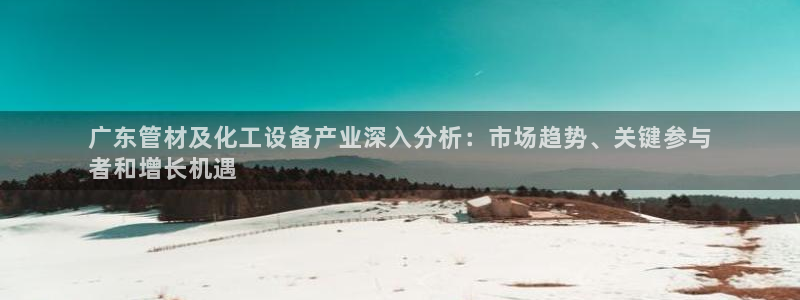 新航娱乐公司简介和历史背景