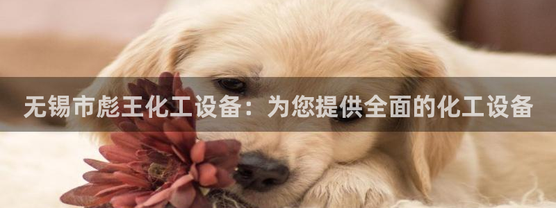 新航娱乐扣款后还能重新扣吗怎么操作