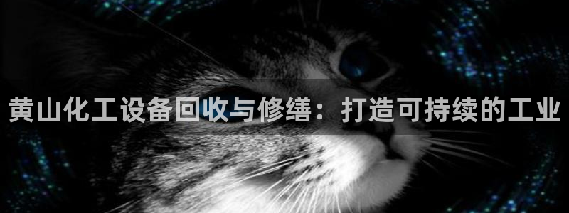 新航娱乐的创始人简介是谁