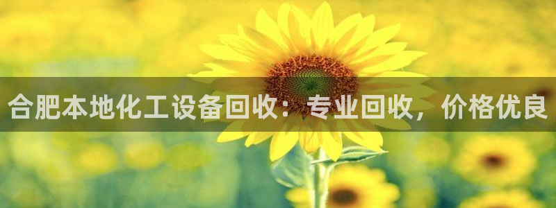 新航娱乐背后的老板