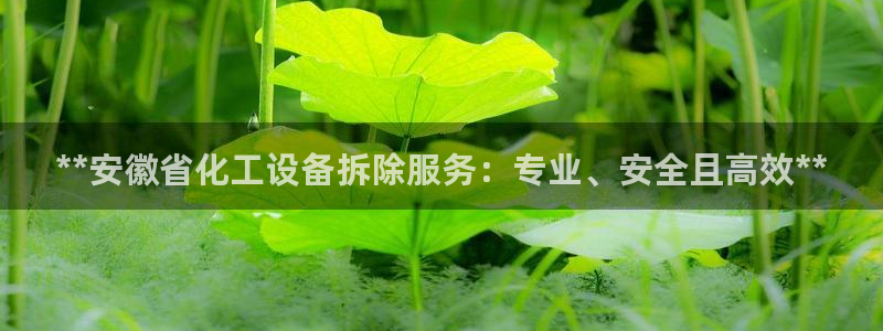 新航娱乐雀7IIII2联他是