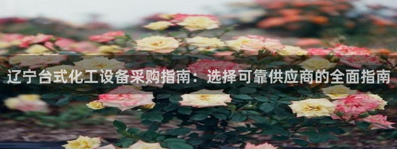 新航娱乐总代理是谁：辽宁台式化工设备采购指南：选择