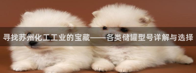 新航娱乐的创始人背景是谁