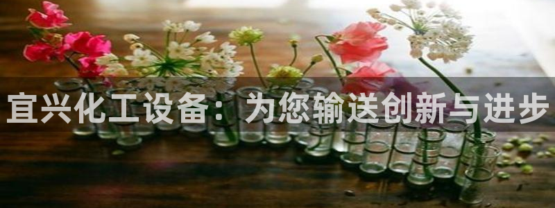 新航娱乐公司简介和历史背景介绍