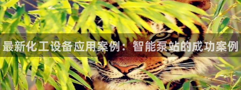 新航娱乐安卓版下载