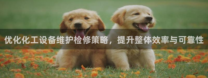 新航娱乐的股东名单和背景介绍