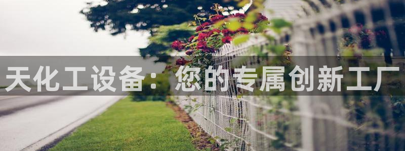 新航娱乐公司简介和历史背景