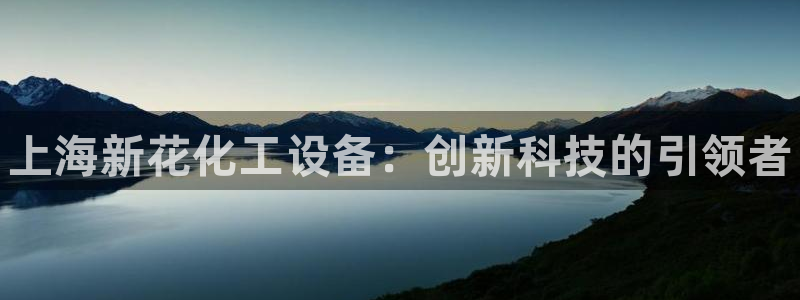 新航娱乐扣款：上海新花化工设备：创新科技的引领者