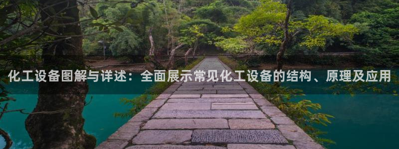 新航娱乐公司扣费流程详解图：化工设备图解与详述：全面展示常见